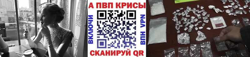 Альфа ПВП СК КРИС Ачхой-Мартан