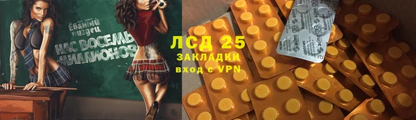 индика Абинск