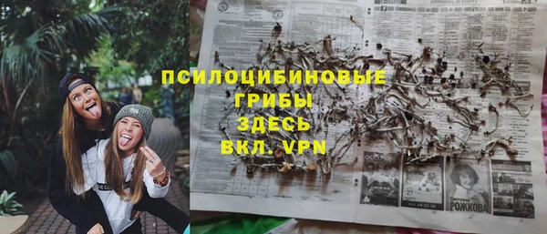 индика Абинск