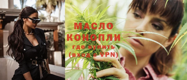 индика Абинск